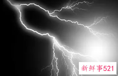 梦见雷电烧树然后大雨预示什么