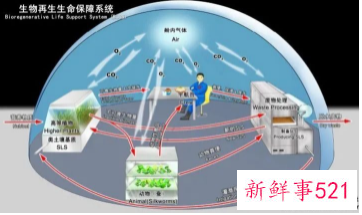 神舟十三号名单