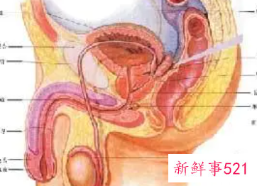 男小便刺痛能自愈吗