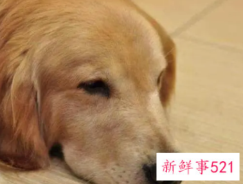 对一切都失去了兴趣怎么办