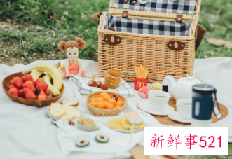 适合野外露营的歌曲