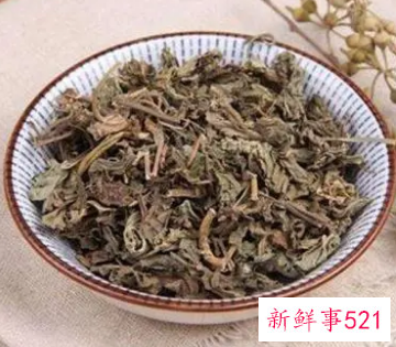 车前草的保存方法