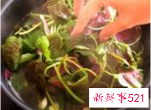 上汤红苋菜的做法