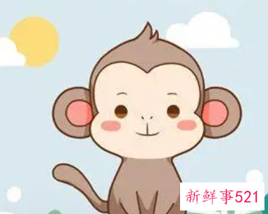 属兔的和属猴的相配吗