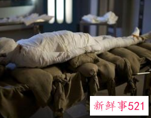 葡萄牙发现距今约8000年木乃伊