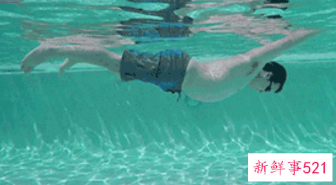 怎么自己学游泳