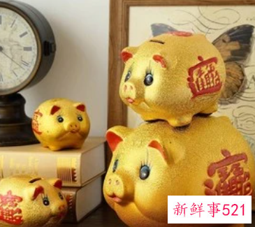 客厅金猪储钱罐可以吗
