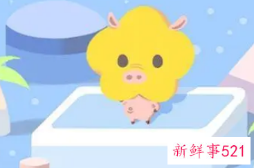 属猪的女什么月份最好