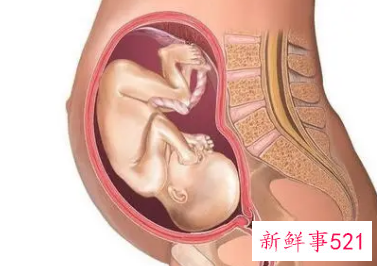 怀孕一到三个月检查流程