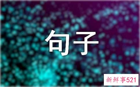 表达一见钟情的古风句子