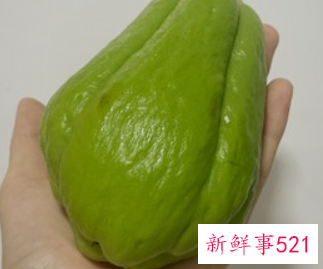 洋丝瓜怎么做好吃又简单