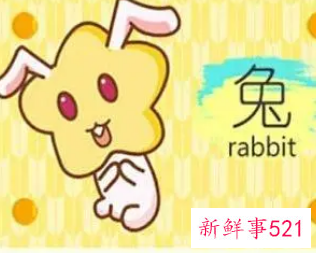 属兔的女宝宝取名大全