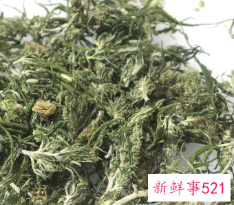 蕲春艾绒的功效与作用