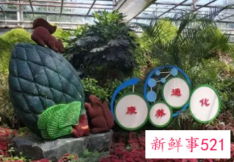 2022长春农博会什么时候举办