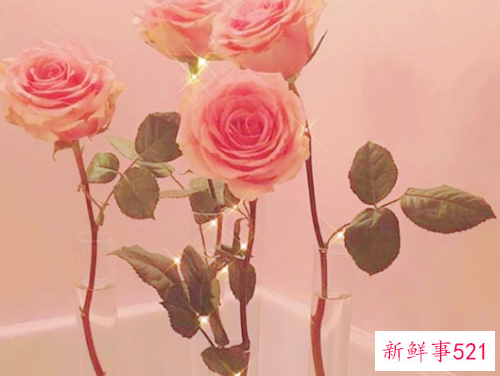 七夕表白说说短语