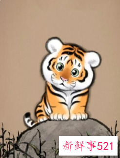 虎年宝宝小名洋气英文