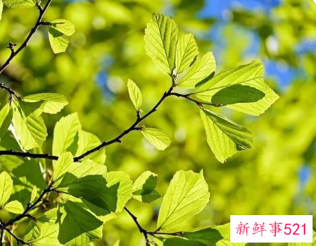 让春季肌肤无油无虑