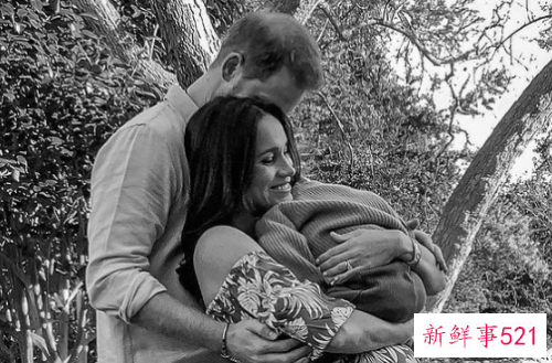 哈利王子与梅根二胎女儿出生