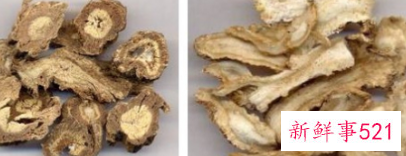 独活的功效和作用