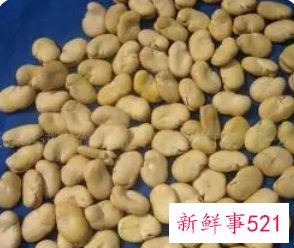 干蚕豆怎么保存不生虫