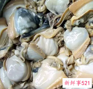 吃河蚌有什么好处