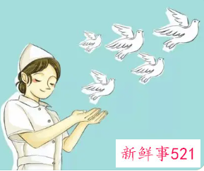 护士职业生涯规划