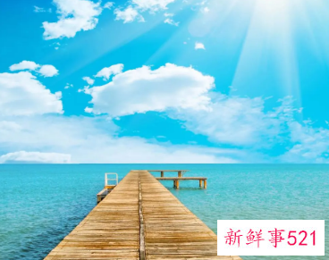 2022最火励志金句