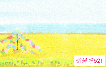 喜欢淑女的星座男