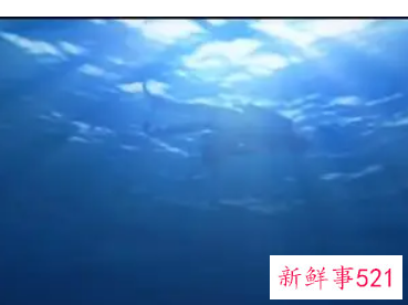 梦见进入水下世界什么预兆