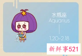 水瓶座特征和含义