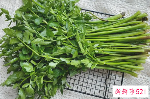 水芹菜吃多了对身体有害吗