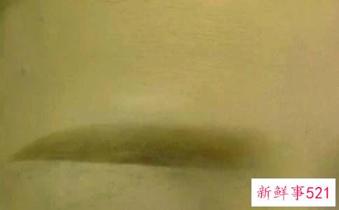 眉粉使用方法让你的眉毛自然动人