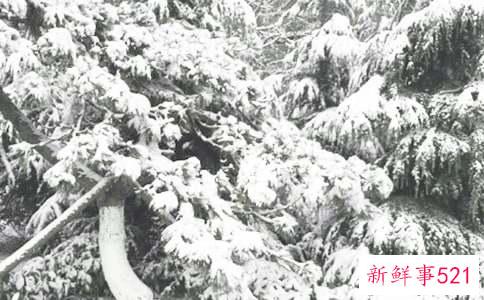 冬季防晒需要知道的6个注意事项