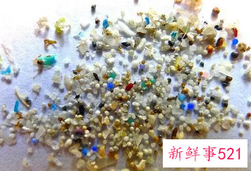 微塑料颗粒在人类血液中被发现