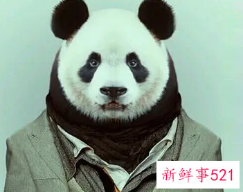 如何减淡黑眼圈