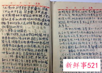 妞妞儿的期终学习日记