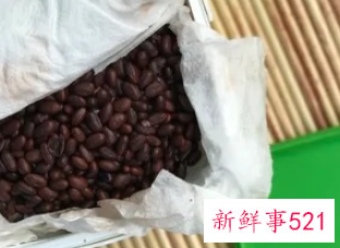 发酵黑豆豉的制作方法窍门