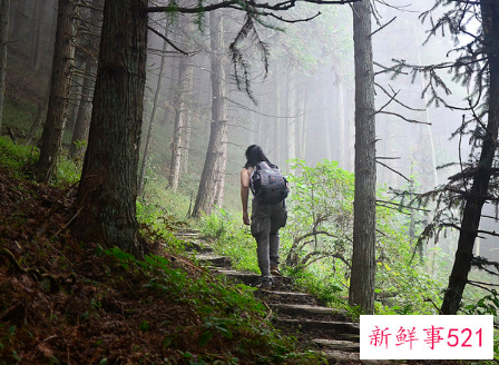 登山运动能给我们带来哪些好处