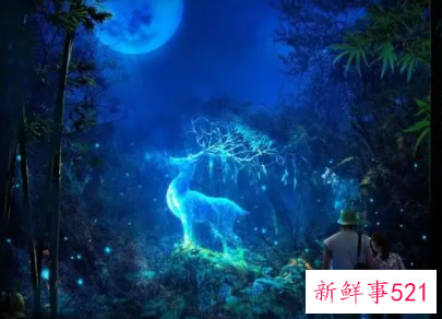 梦见自己带避孕t是什么意思