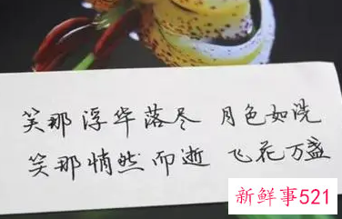 一句暖人的话可以暖人心