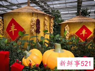 2022长春农博会什么时候举办