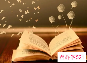 工作方案和实施方案有何区别