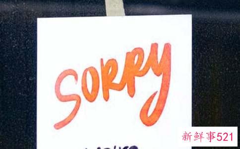 跟射手座男生道歉送什么花好