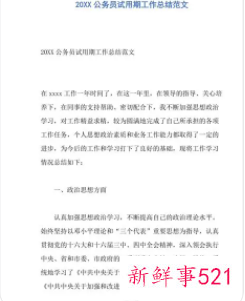 工作试用期总结范文简短