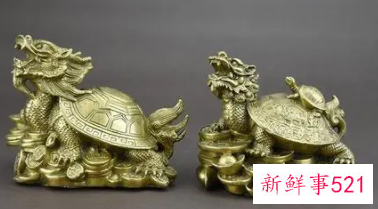 属羊的怎么破太岁