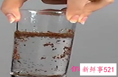 假海藻和真海藻的区别