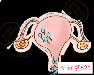 排卵小腹疼同房会怀孕吗