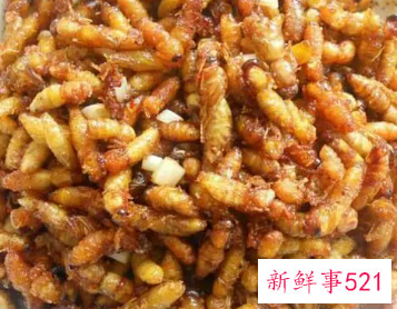 蜂蛹吃了会得甲状腺癌吗