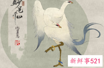 用什么东西来比喻情侣