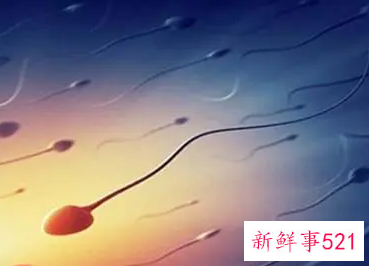 长时间不排精会怎样